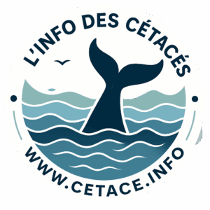 L’info des cétacés logo L'info des cétacés logo