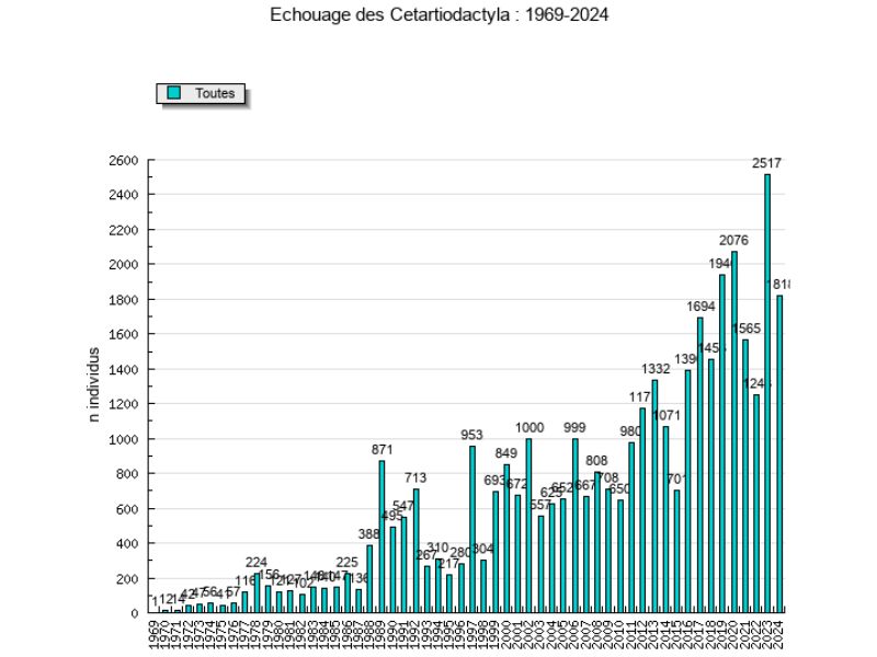 Evolution des échouages en France depuis 1969 à 2024