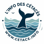 L'info des cétacés logo