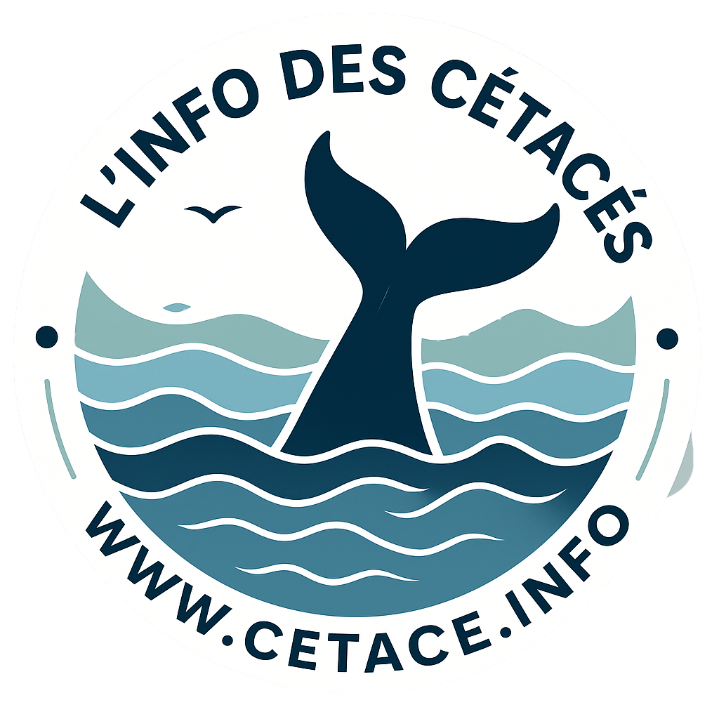 L'info des cétacés logo