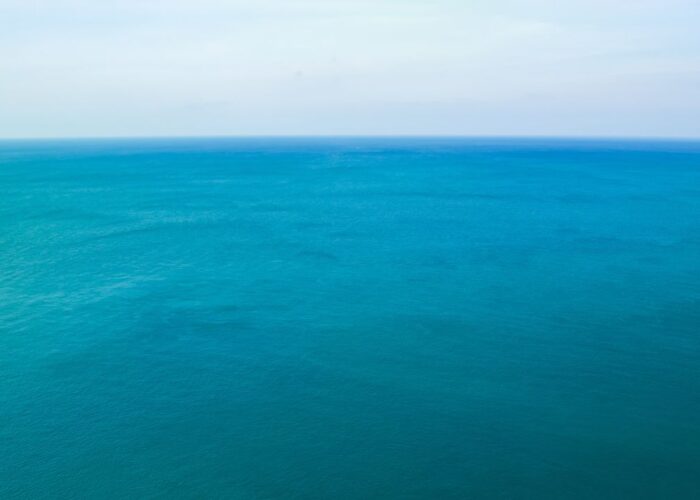 ADN environnemental l’eau de mer révèle une baleine à bec que les campagnes SCANS n’avaient jamais vue