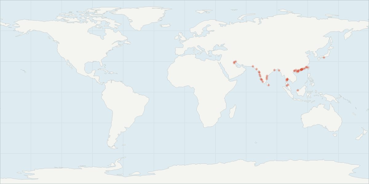 Carte de répartition : Marsouin aptère (Neophocaena phocaenoides), 50 observations géolocalisées issues du GBIF