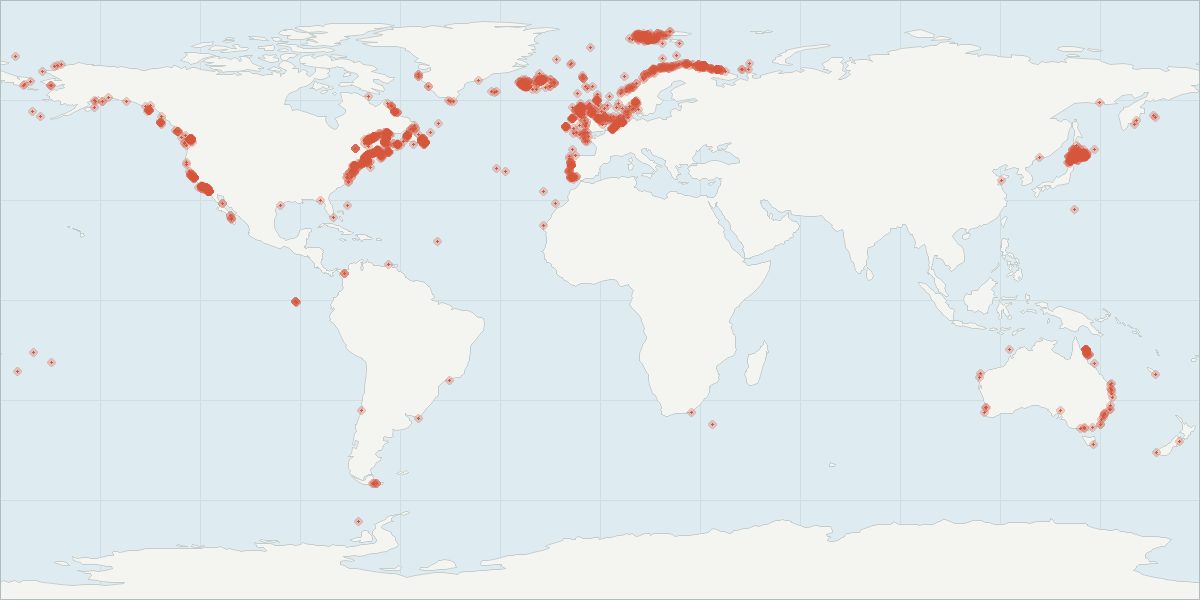 Carte de répartition : Petit rorqual (Balaenoptera acutorostrata), 2 439 observations géolocalisées issues du GBIF