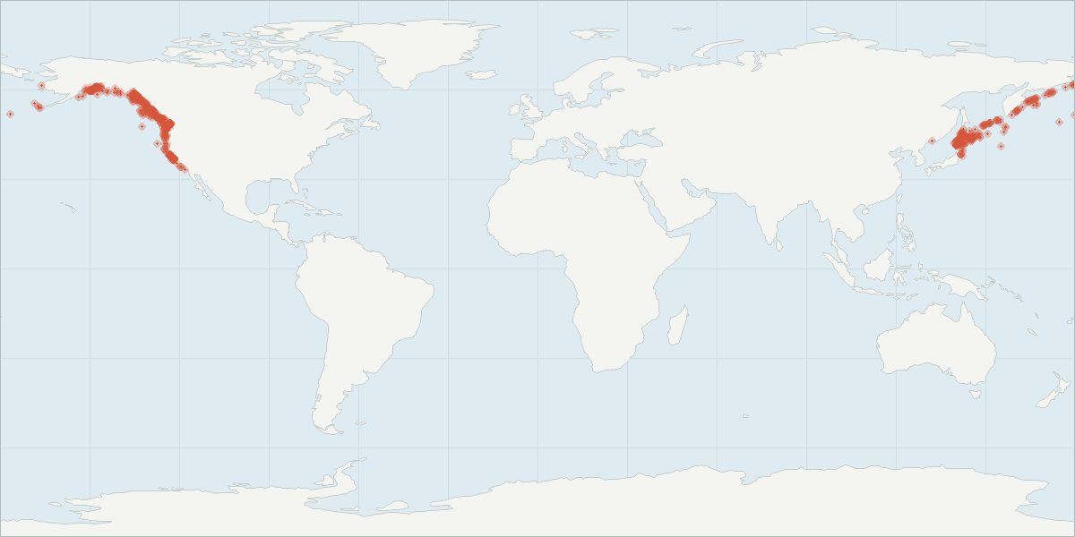 Carte de répartition : Marsouin de Dall (Phocoenoides dalli), 910 observations géolocalisées issues du GBIF