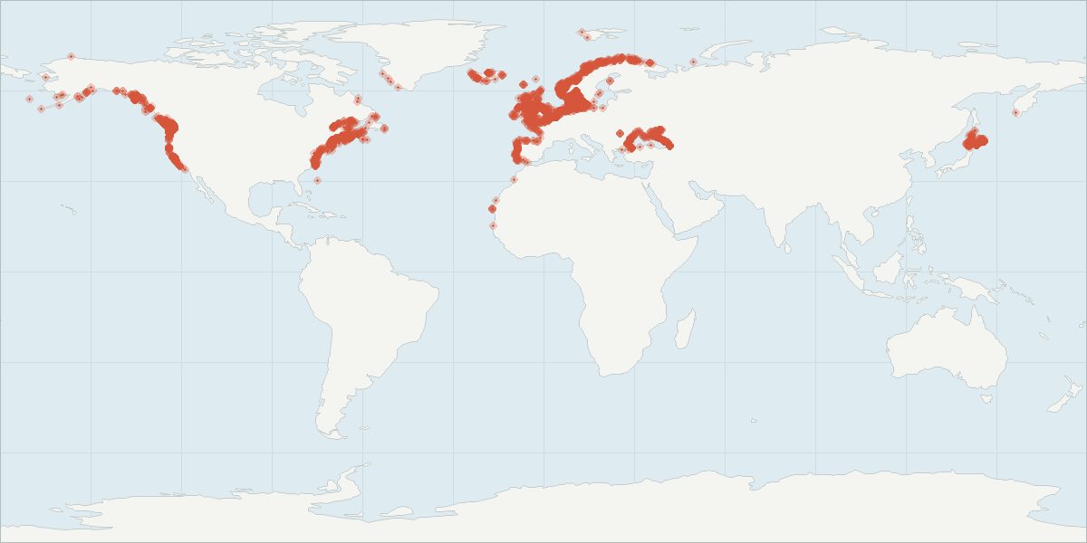 Carte de répartition : Marsouin commun (Phocoena phocoena), 15 695 observations géolocalisées issues du GBIF