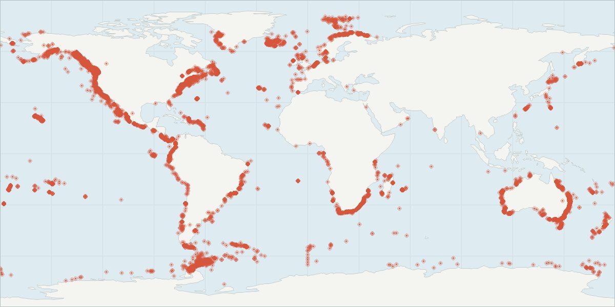 Carte de répartition : Baleine à bosse (Megaptera novaeangliae), 28 986 observations géolocalisées issues du GBIF