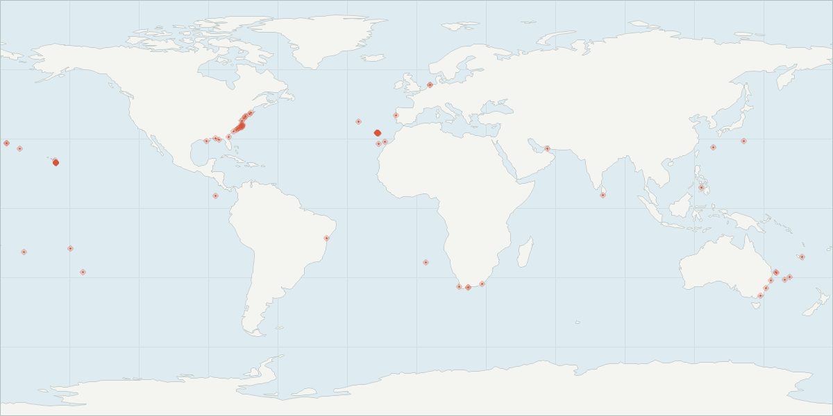 Carte de répartition : Mésoplodon de Blainville (Mesoplodon densirostris), 90 observations géolocalisées issues du GBIF
