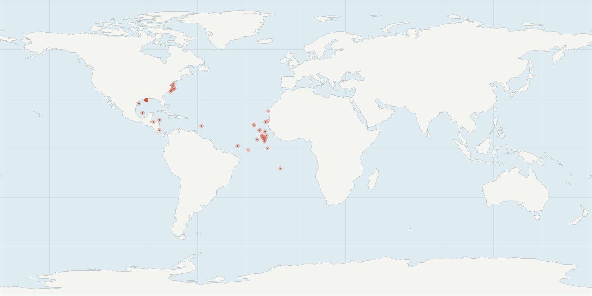 Carte de répartition : Dauphin de Clymène (Stenella clymene), 81 observations géolocalisées issues du GBIF