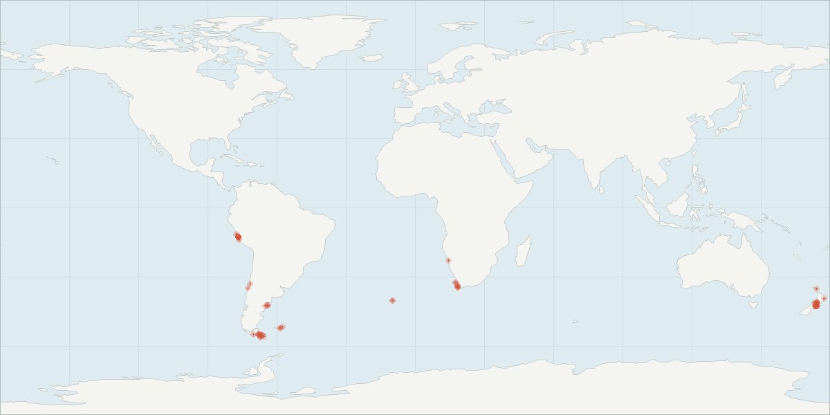 Carte de répartition : Dauphin obscur (Lagenorhynchus obscurus), 100 observations géolocalisées issues du GBIF