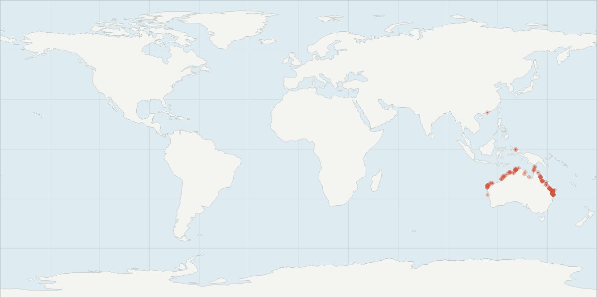 Carte de répartition : Dauphin à bosse australien (Sousa sahulensis), 289 observations géolocalisées issues du GBIF