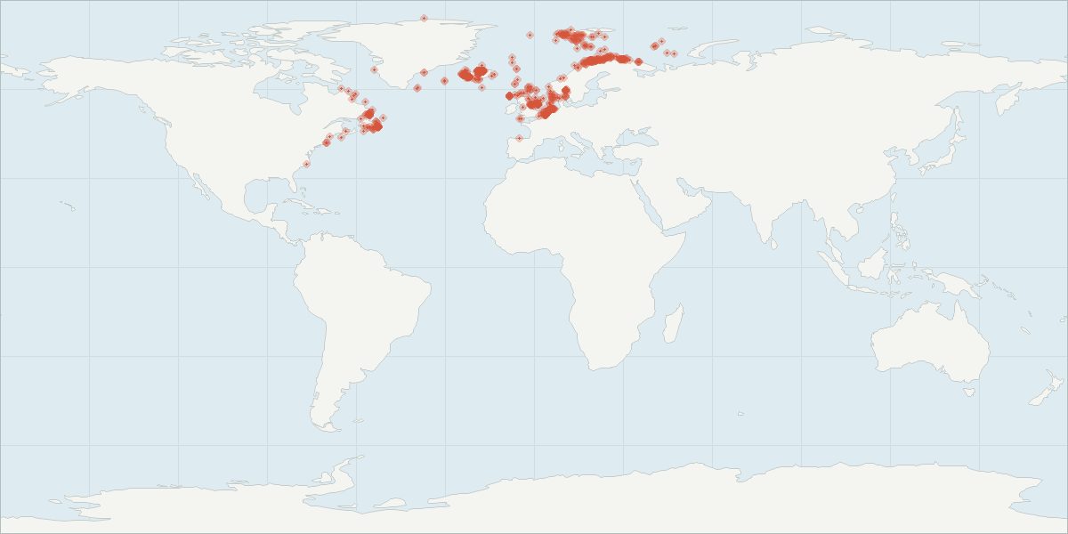 Carte de répartition : Lagénorhynque à bec blanc (Lagenorhynchus albirostris), 804 observations géolocalisées issues du GBIF