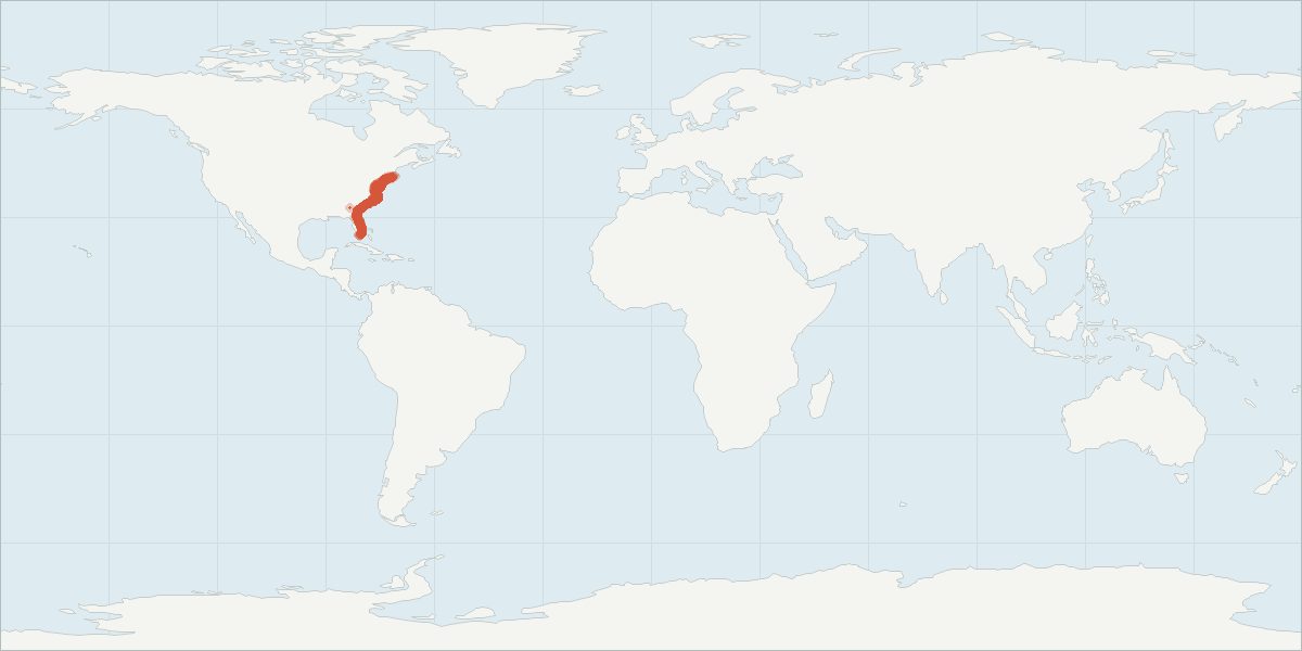 Carte de répartition : Grand dauphin de Tamanend (Tursiops erebennus), 2 832 observations géolocalisées issues du GBIF