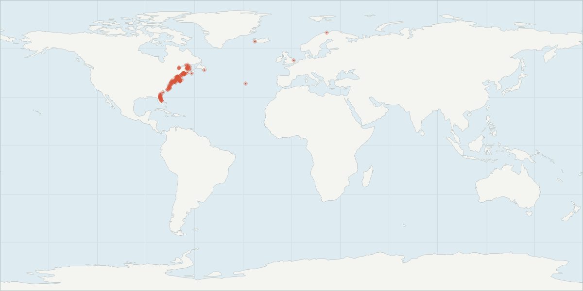 Carte de répartition : Baleine noire de l’Atlantique Nord (Eubalaena glacialis), 335 observations géolocalisées issues du GBIF