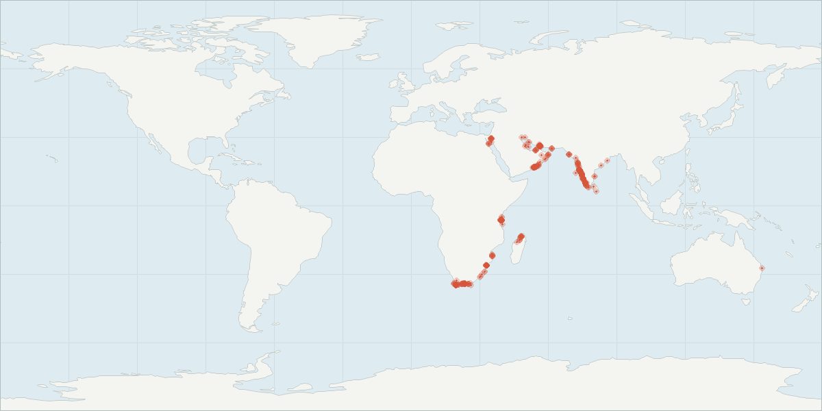 Carte de répartition : Dauphin à bosse de l’océan Indien (Sousa plumbea), 425 observations géolocalisées issues du GBIF