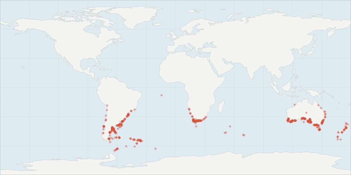 Carte de répartition : Baleine franche australe (Eubalaena australis), 1 989 observations géolocalisées issues du GBIF