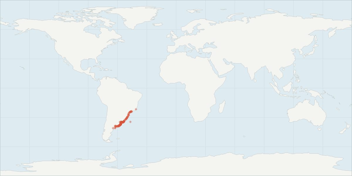 Carte de répartition : Dauphin de La Plata (Pontoporia blainvillei), 582 observations géolocalisées issues du GBIF