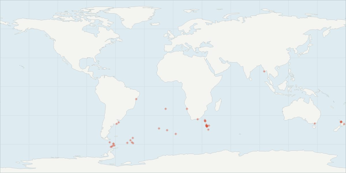 Carte de répartition : Baleine à bec de Layard (Mesoplodon layardii), 47 observations géolocalisées issues du GBIF