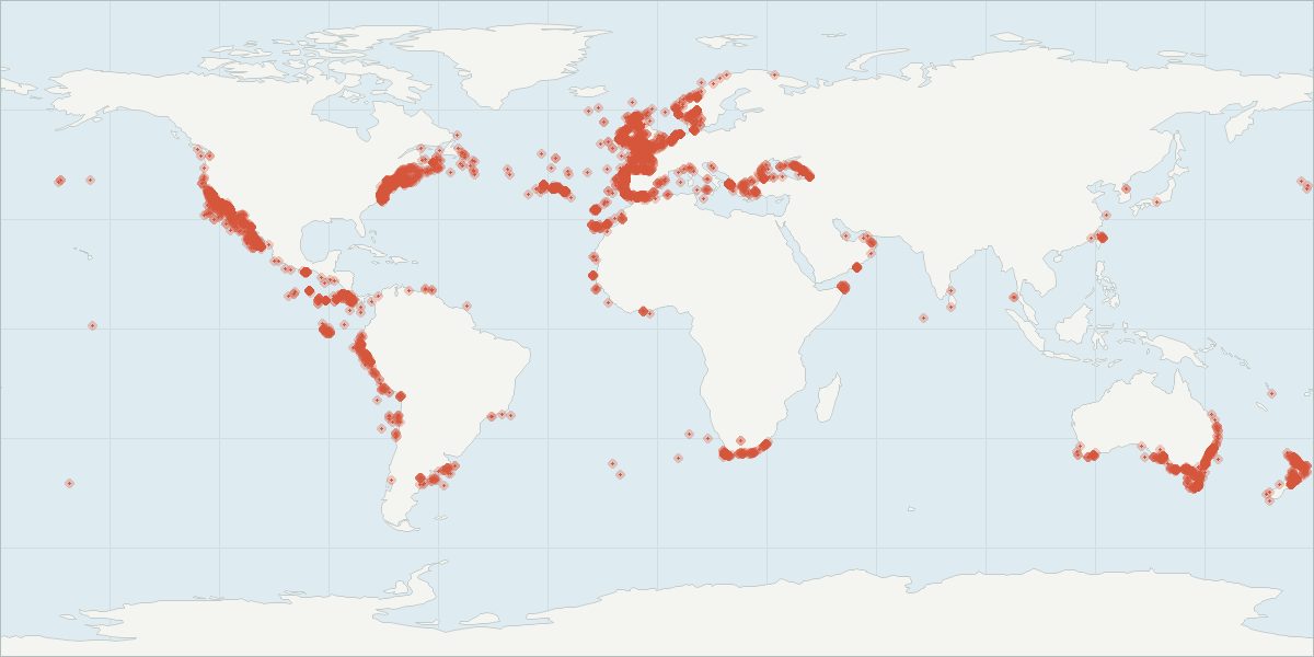 Carte de répartition : Dauphin commun (Delphinus delphis), 8 737 observations géolocalisées issues du GBIF