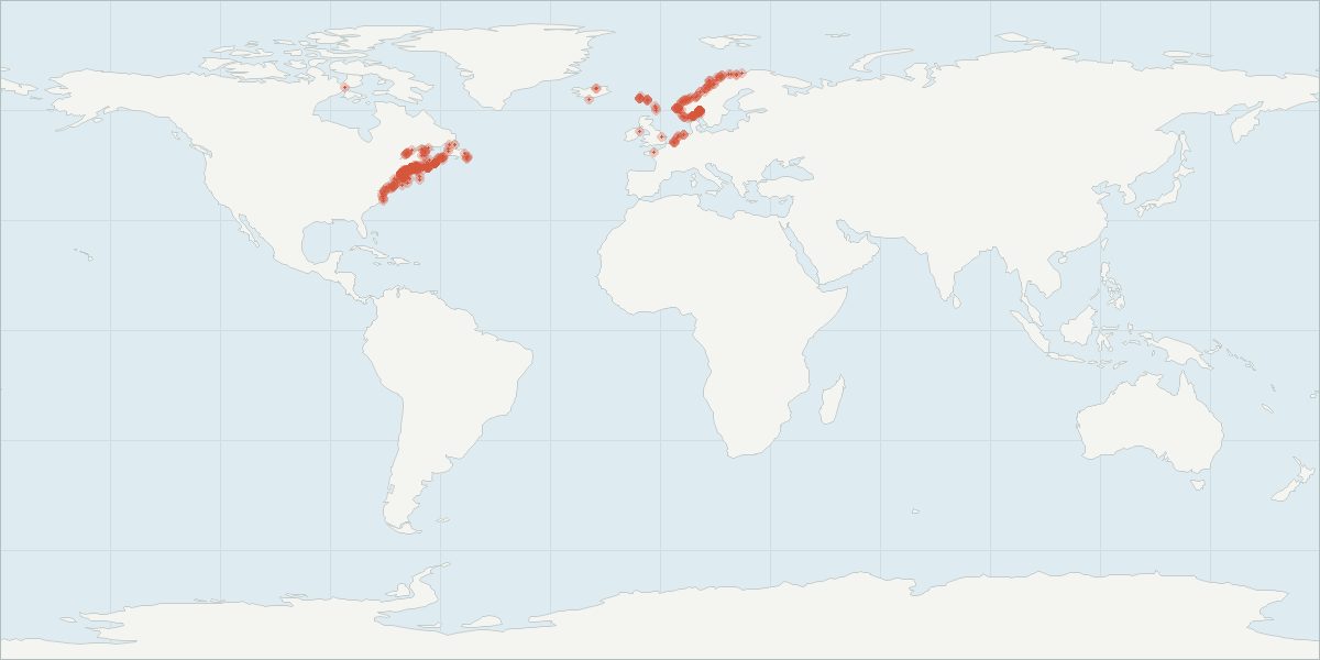 Carte de répartition : Dauphin à flancs blancs de l’Atlantique (Lagenorhynchus acutus), 629 observations géolocalisées issues du GBIF